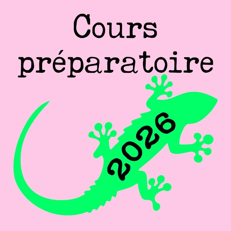 Vorbereitungskurs 2026 Schule