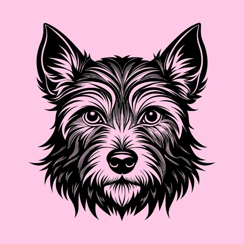 Cairn Terrier