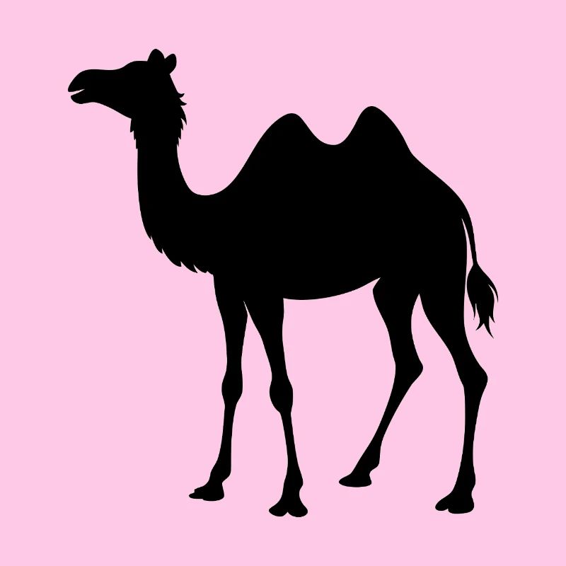 Camel