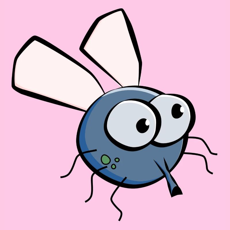 Stubenfliege