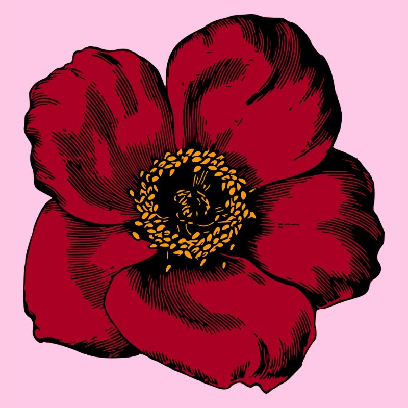 Rote Blume