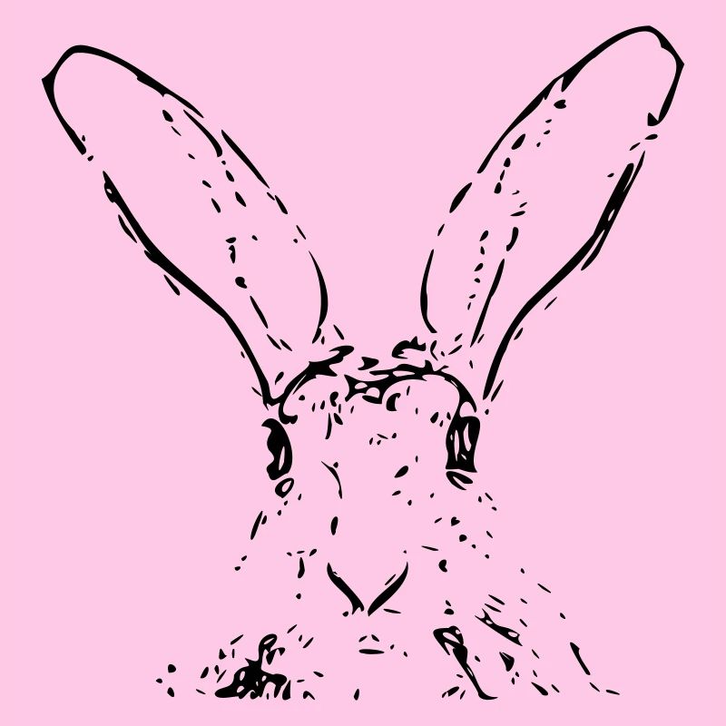 Hase