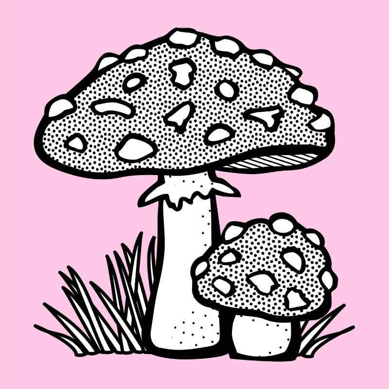 champignons champignons vegetables113 veggie veggie champignons