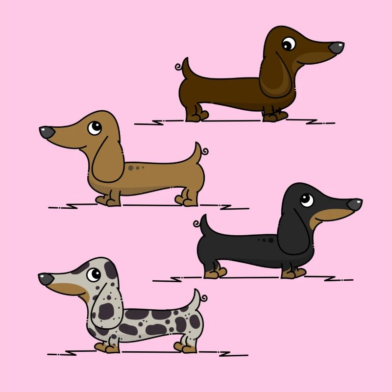 Teckels