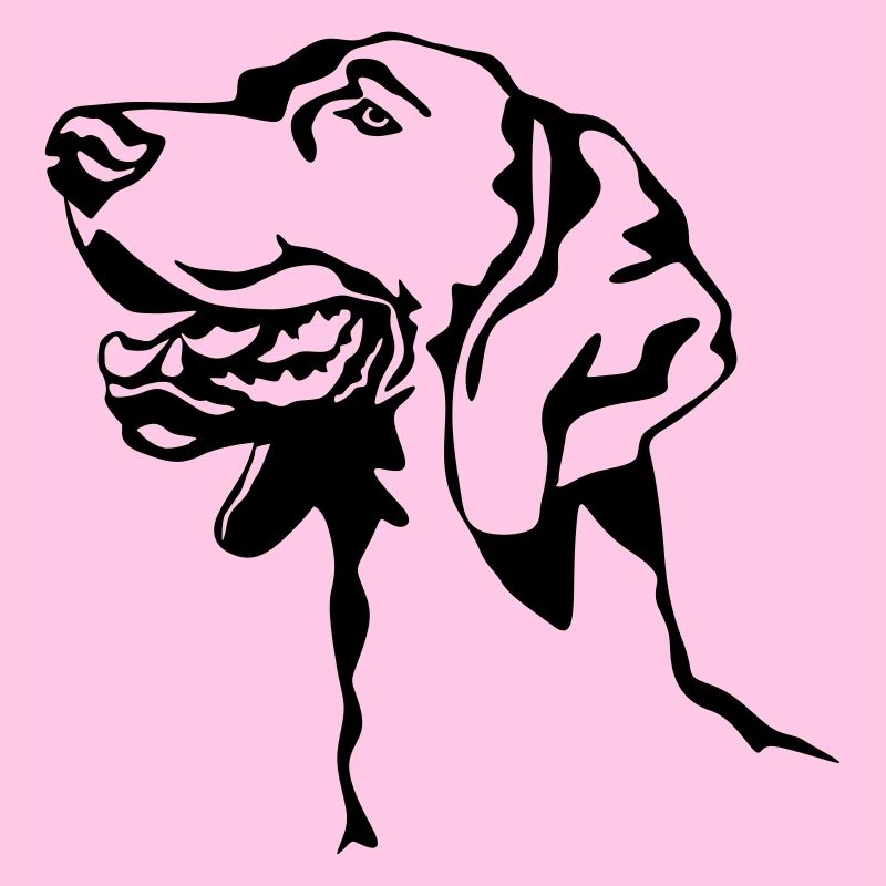 Weimaraner Kopf