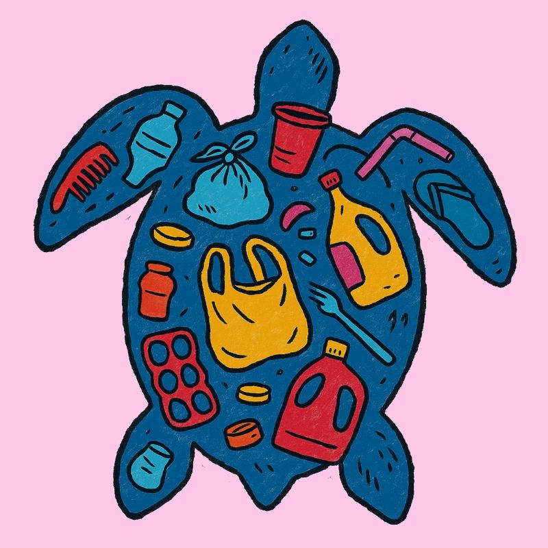 Eco-Friendly Turtle with Waste Art