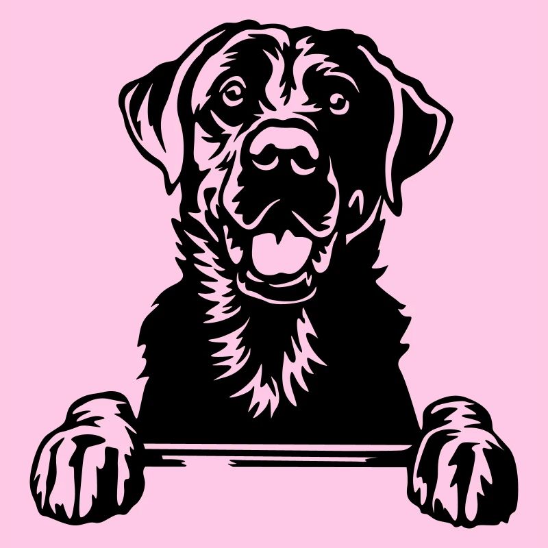 Tête du Labrador