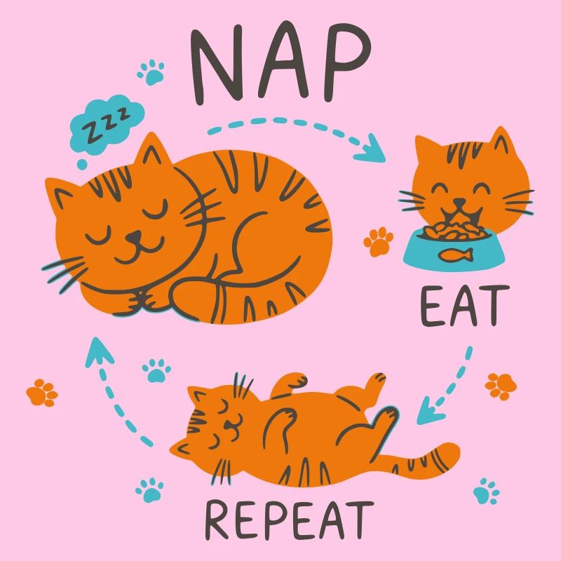 Nap Eat Repeat Katzendesign