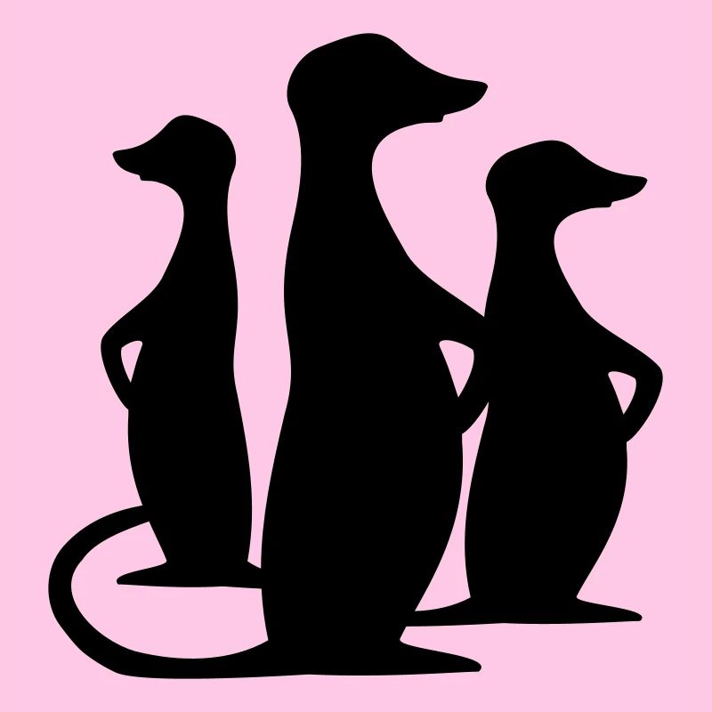 erdmännchen