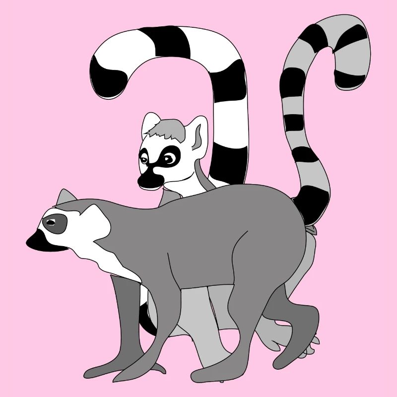 Kattas