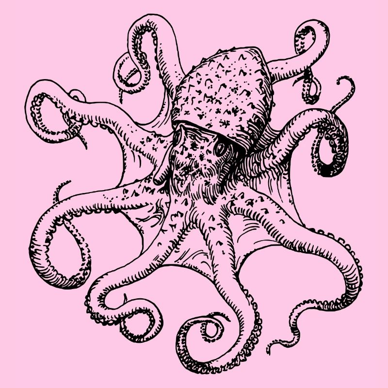 squid giant octopus octopus octopus squid sepia fish