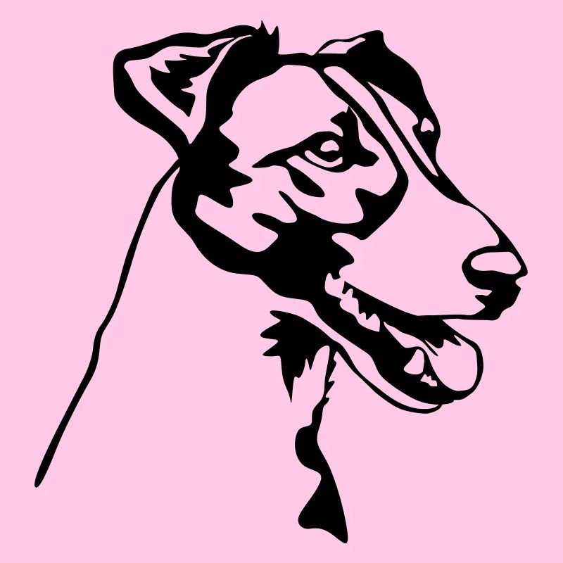 Foxterrier Kopf