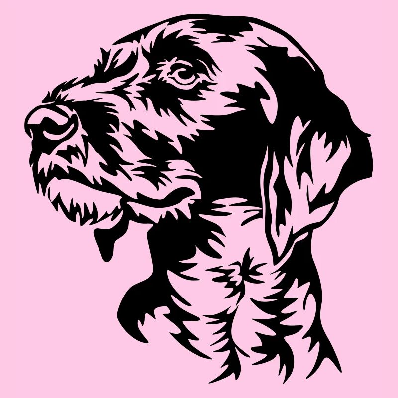 German Wirehaired Pointer head