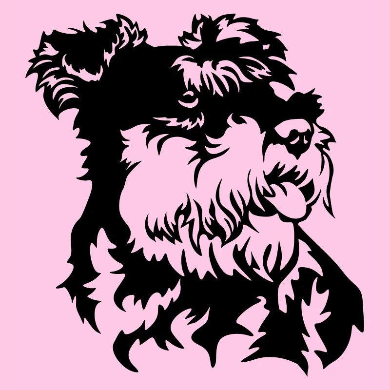 Tête de Schnauzer miniature