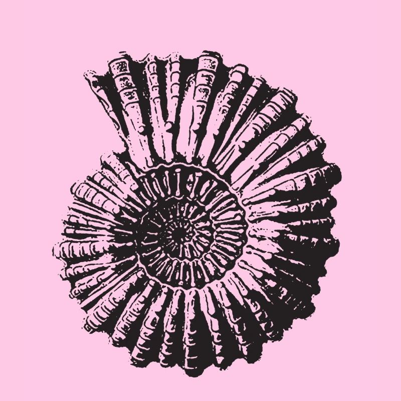 Escargot de pierre rétro