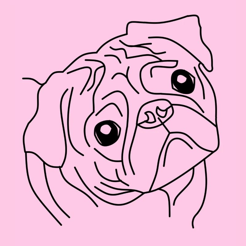 Pug Face - Le compagnon mignon