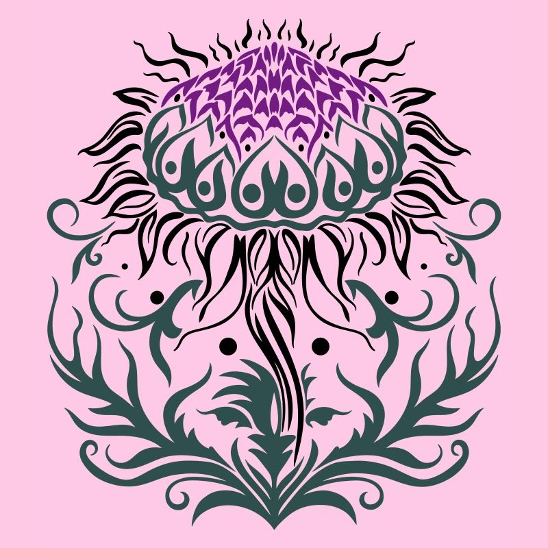 Distel lila Thistle