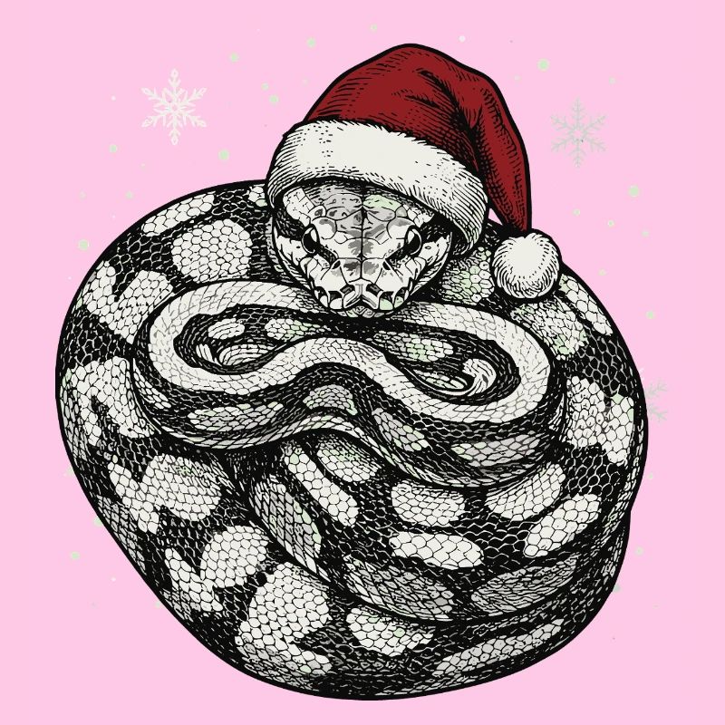King Python Christmas Ball Python Snake
