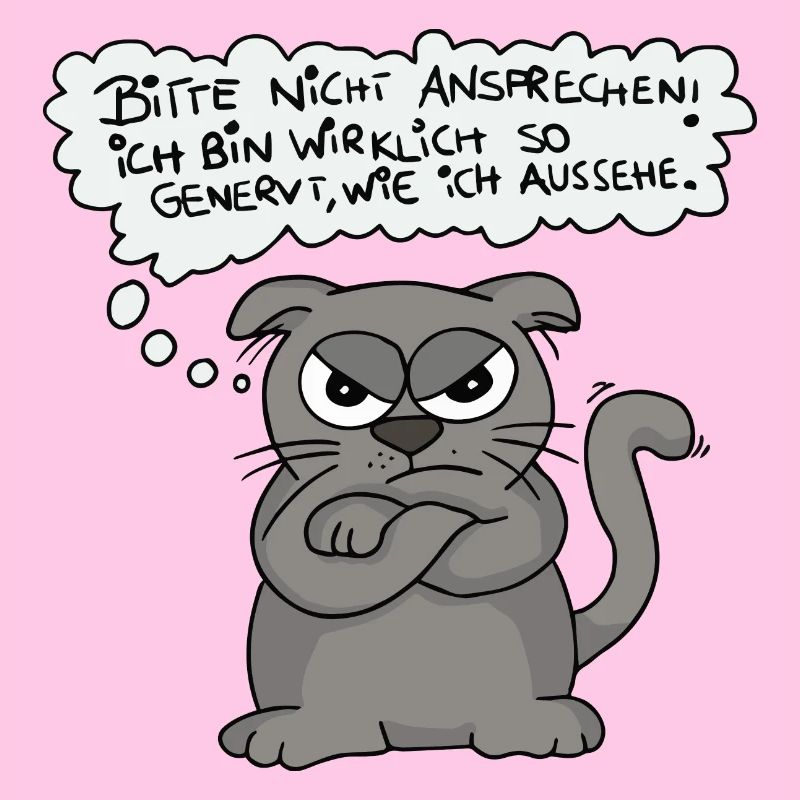 Genervte Katze - Nicht ansprechen!