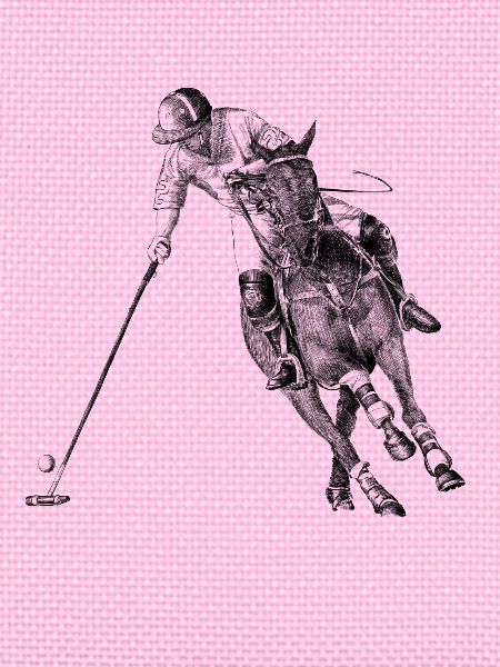 polo sport