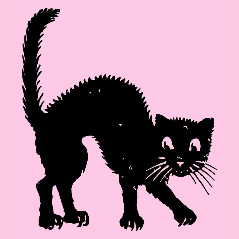 Buckelkatze
