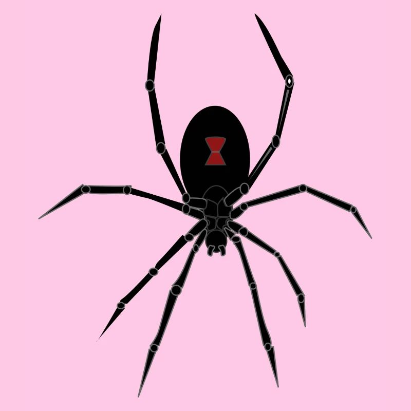 spid 26