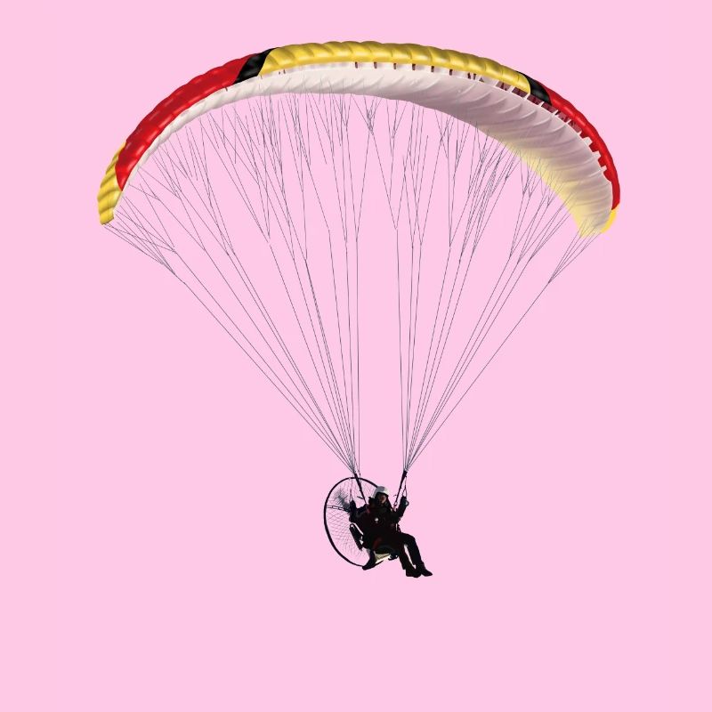 Paramotor