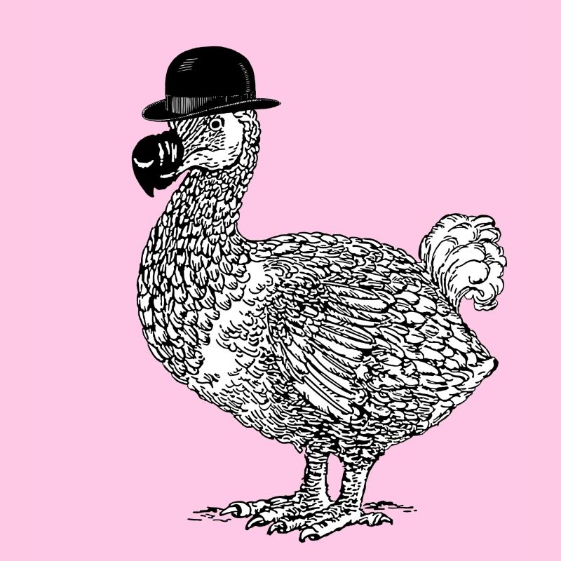 Dodo mit Hut