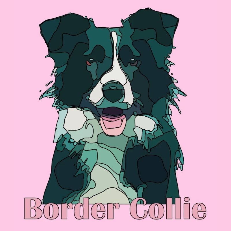 border collie