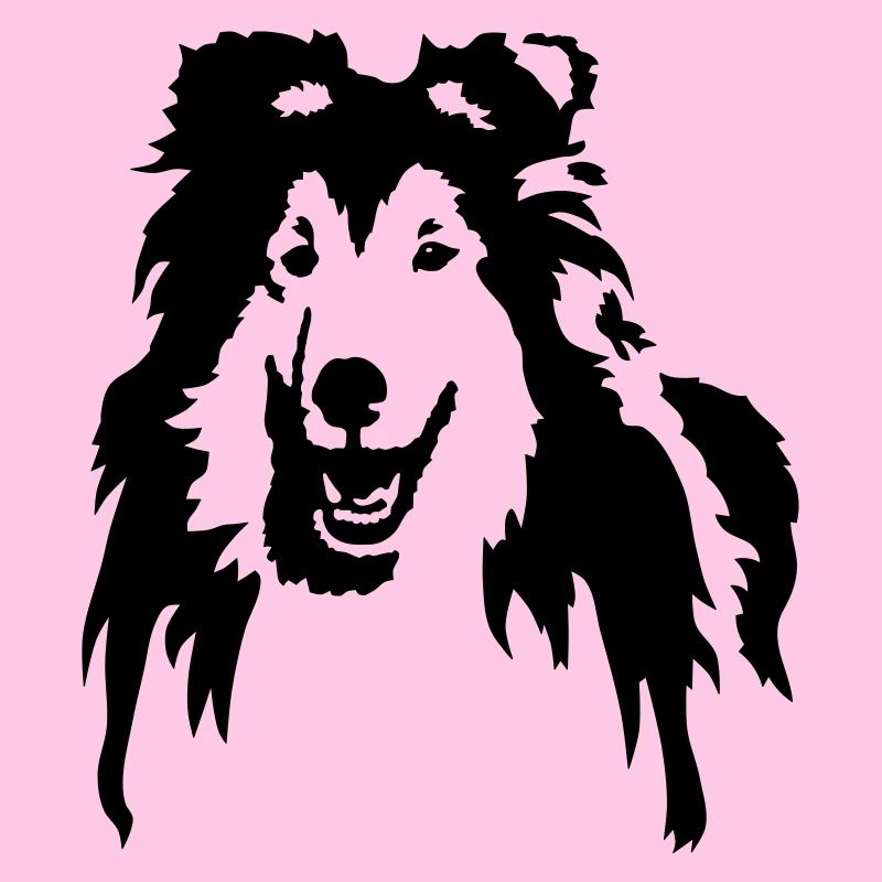 Collie