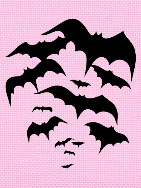 Fledermäuse, bats, Vampire, Dracula