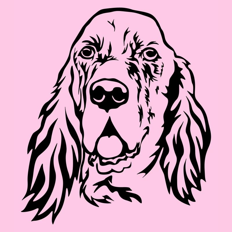 Englischer Setter Kopf