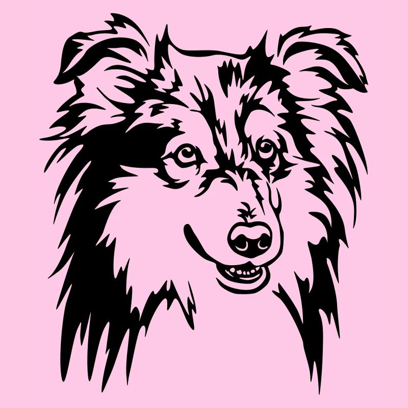 Tête de Sheltie