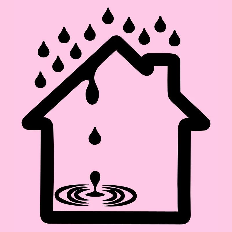 Haus-Leckage-Logo-Dachdecker