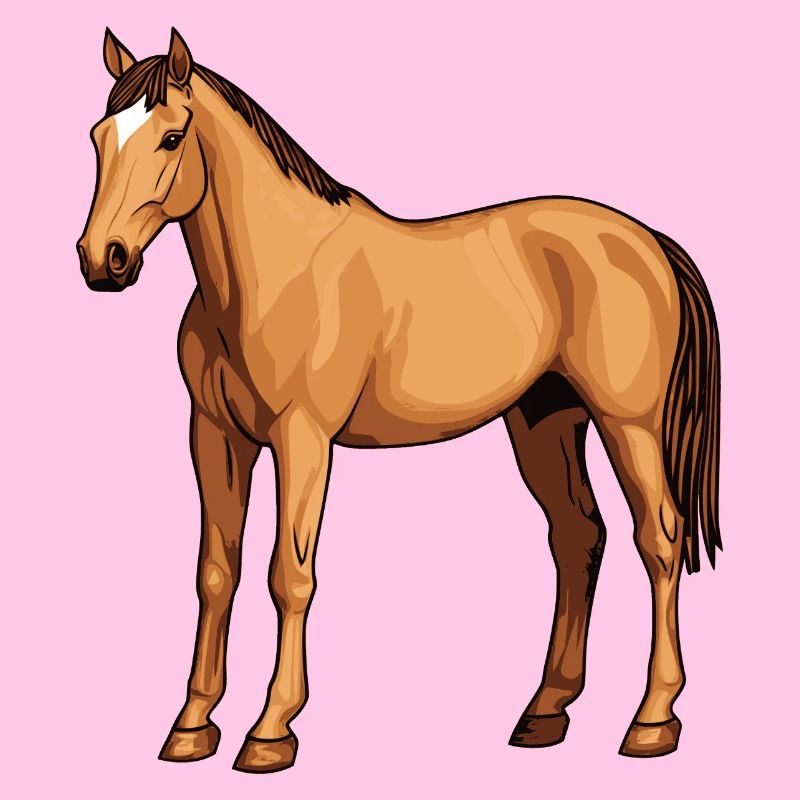 Pferd