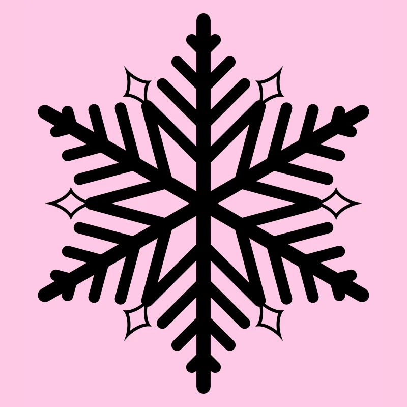 Flocon de neige flocon de neige