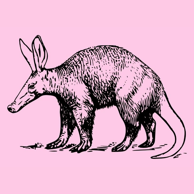 aardvark earth piglet3