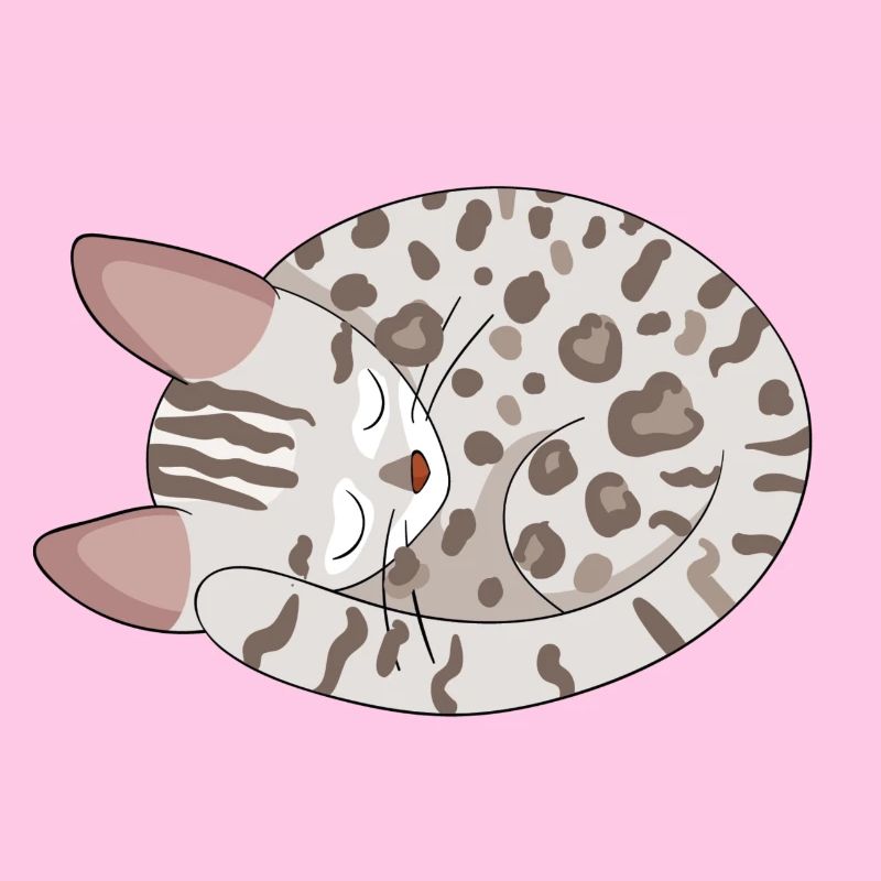 Chat de Bengale Chat