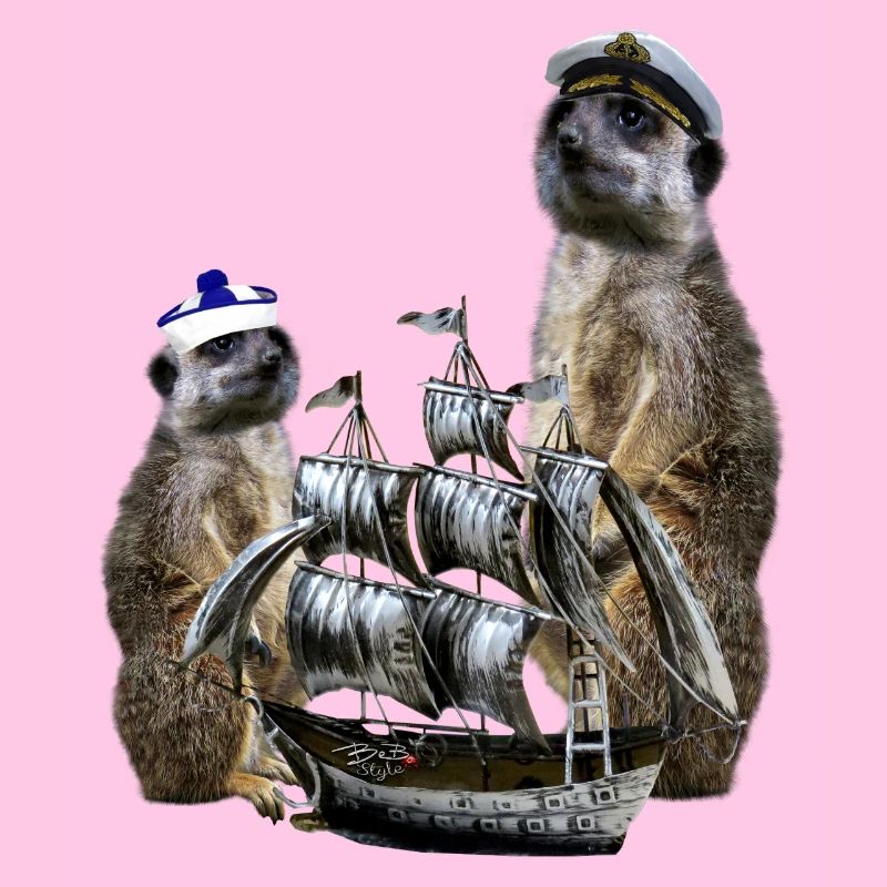 Kapitän-Erdmännchen