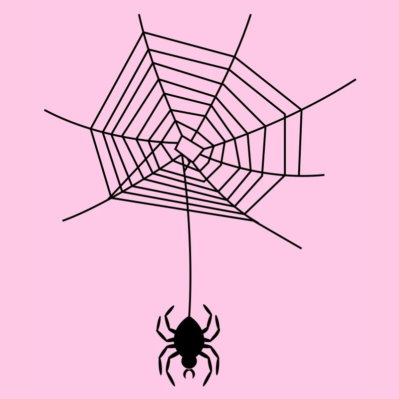 spinne_im_netz_f1