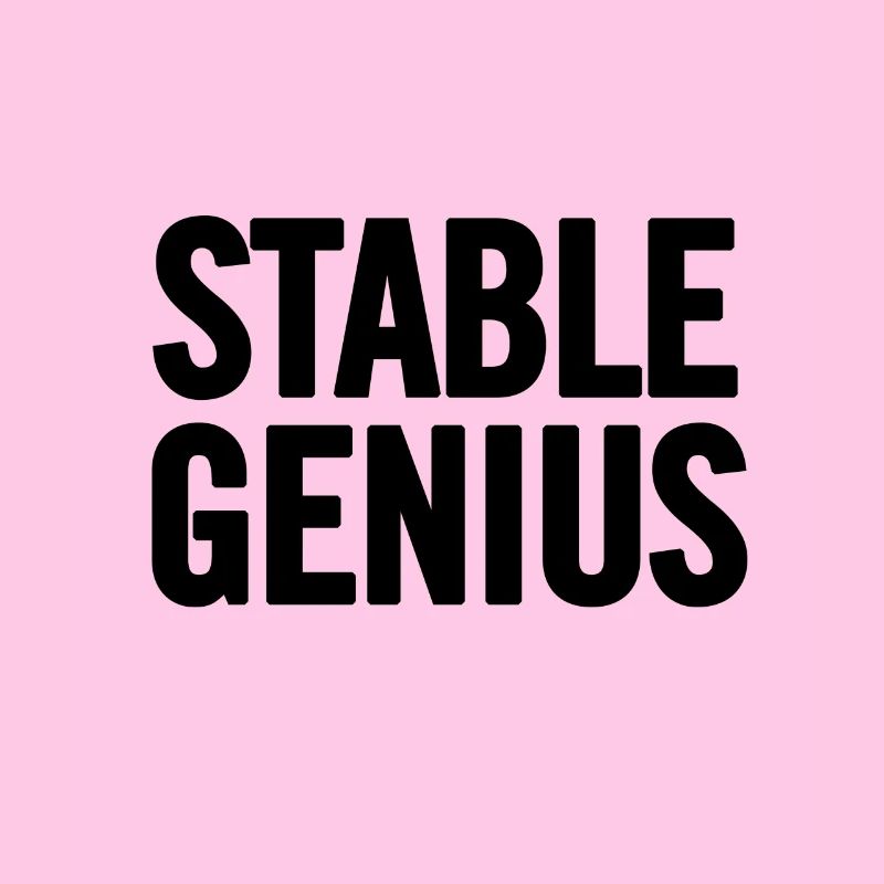 Stabil Genius Schwarz