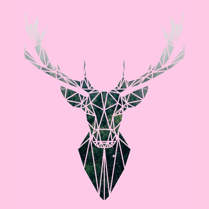 Hirsch
