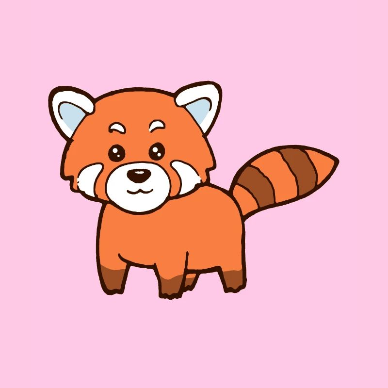 red panda