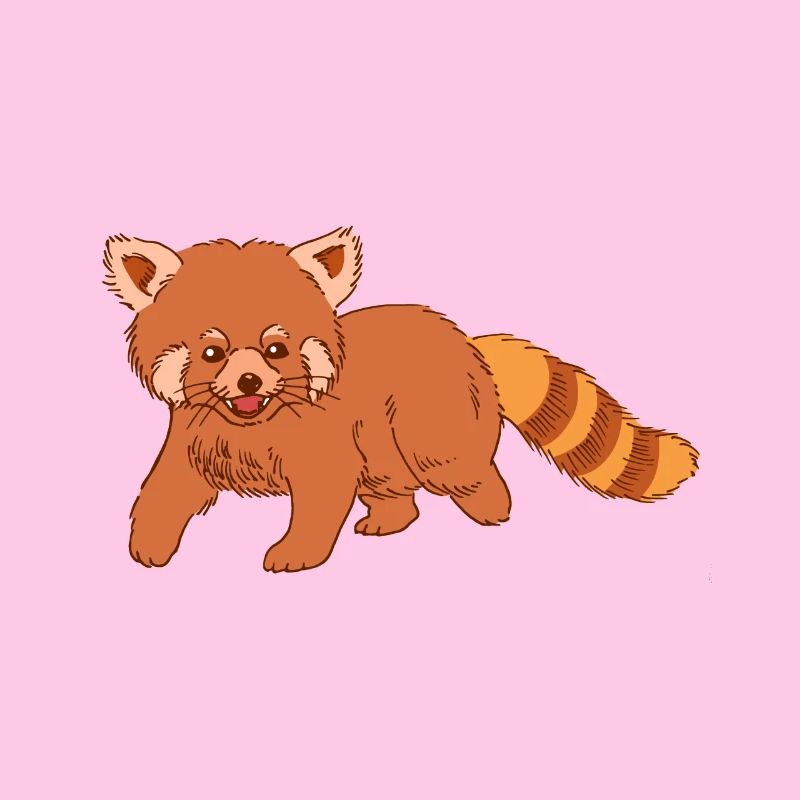 Roter Panda