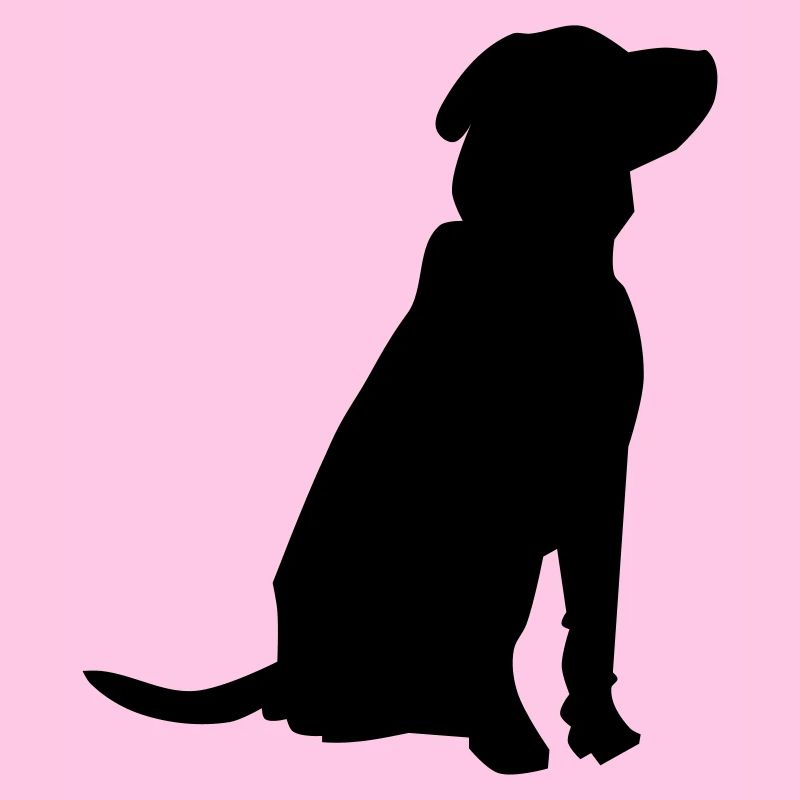 pet dog