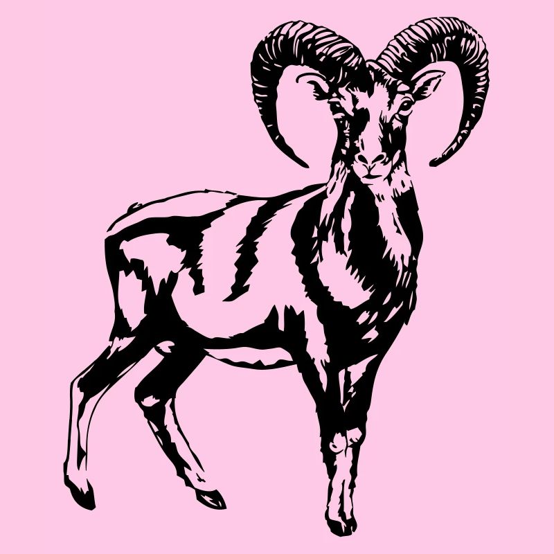 Mufflon