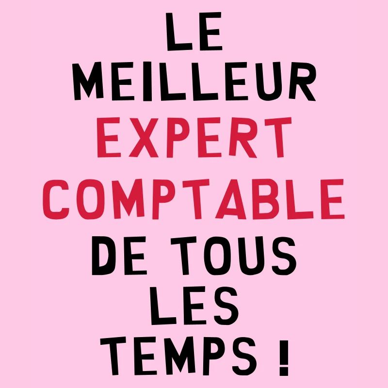 Expert Comptable / Comptabilité / Comptable /