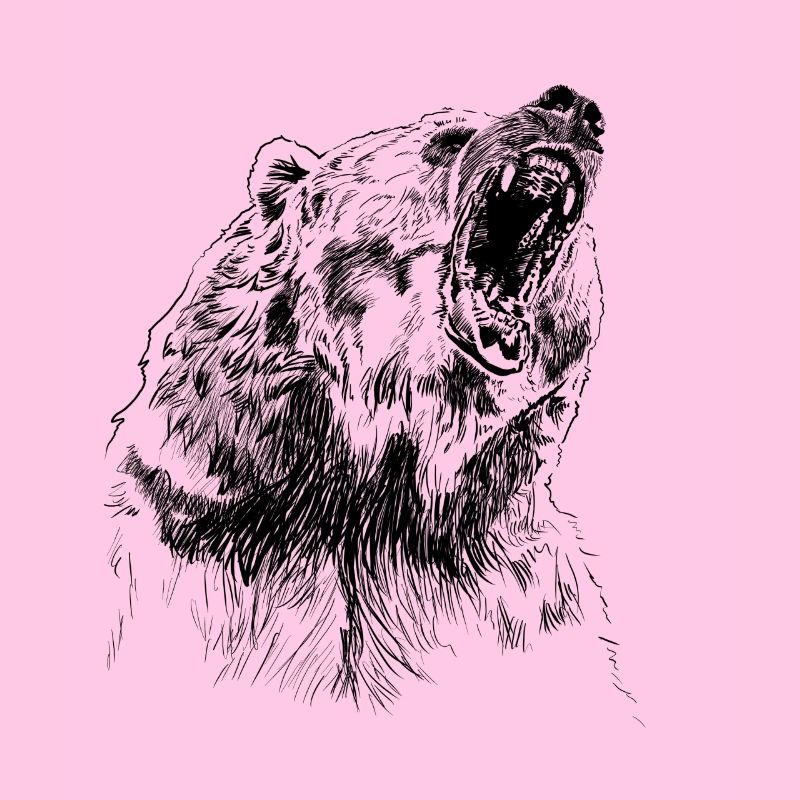 Bär