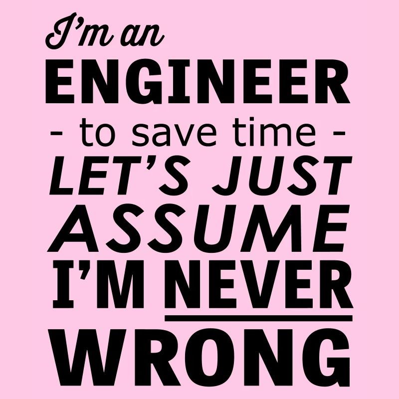 Im an Engineer Assume Im Never Wrong