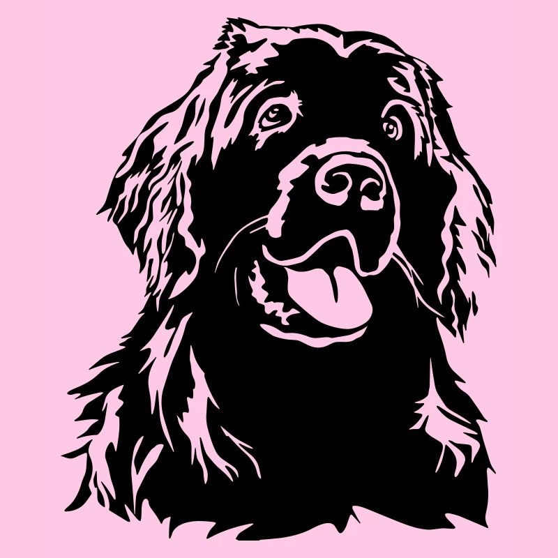 Newfoundland head